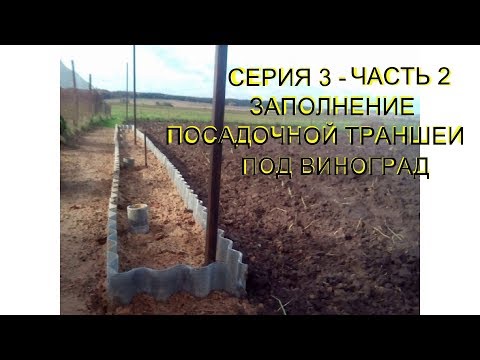 Видео: Лёха & заполнение посадочной траншеи под виноград. Серия 3 - часть 2