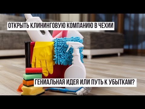 Видео: Клининговый бизнес в Праге: сколько реально можно заработать?
