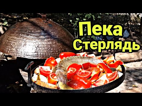 Видео: РЫБА НА УГЛЯХ. СТЕРЛЯДЬ ПОД ПЕКА. РЕЦЕПТ. ГОТОВИТ Липован.