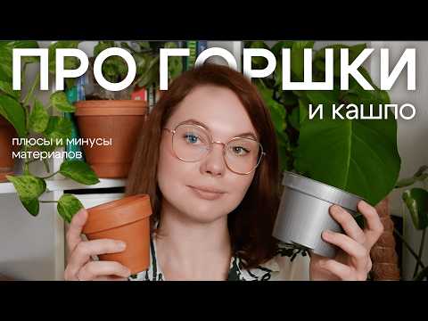 Видео: Пластик или керамика? Какого размера выбрать горшок для пересадки? Давайте вместе разбираться