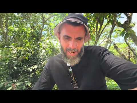 Видео: Доминикана / Много риса не бывает