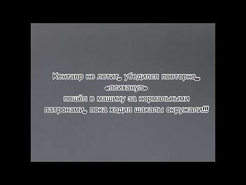 Видео: Нашествие шакалов под Волгоградом. Шакалы охотятся на зайца но …., 223 rem их остановил.