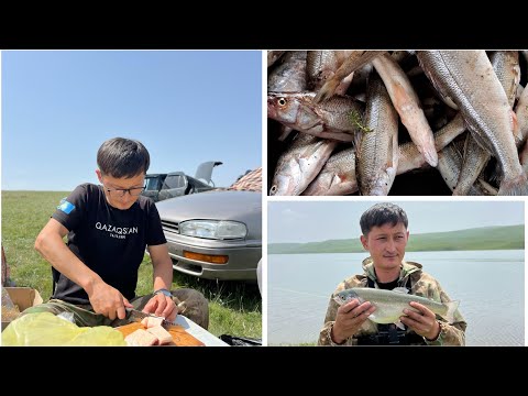 Видео: Балық аулау. Бестөбе су қоймасы. 1-бөлім