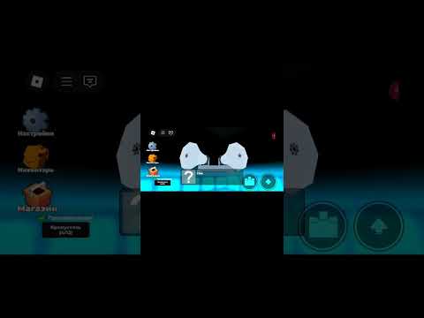 Видео: Милое видео с красивым маленьким паучком