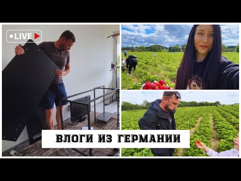 Видео: Обустройство квартиры в ГЕРМАНИИ • новый стол • КЛУБНИЧНОЕ ПОЛЕ в Германии🇩🇪• Поздние переселенцы