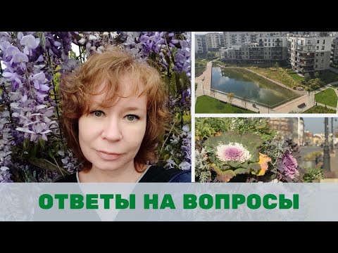 Видео: Лучшие деревья для озеленения городов, луга и газоны, лучшие растения для озеленения