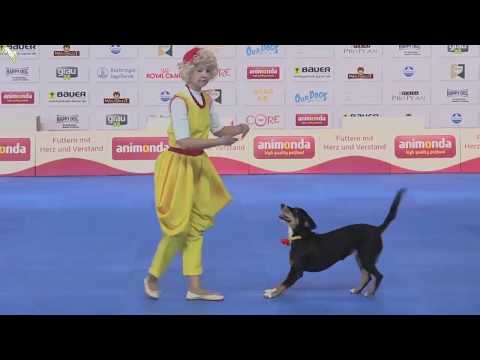 Видео: ЧМ по танцам с собаками - 2017, Германия. Финал.