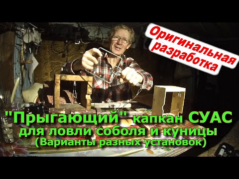 Видео: "Прыгающий" капкан для ловли соболя и куницы