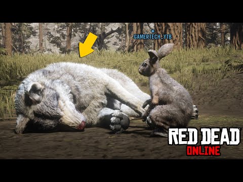 Видео: ЧТО БУДЕТ, ЕСЛИ в RDR 2 (Online) - Выпуск #21