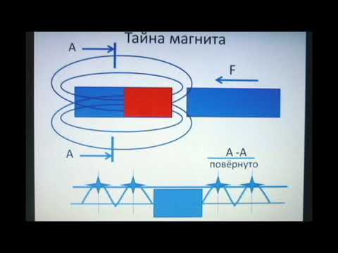 Видео: 31 августа 2024 г.