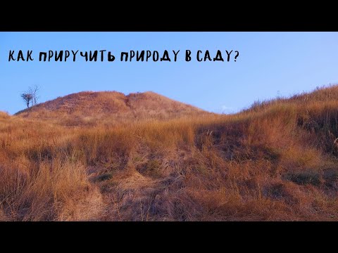 Видео: Как приручить природу в саду?