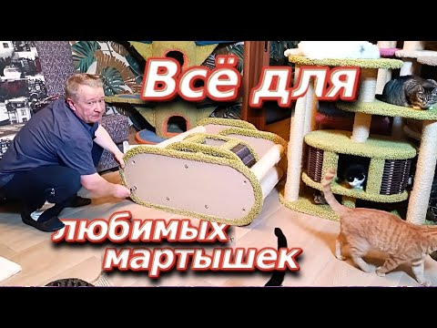 Видео: Всë для любимых мартышек. 