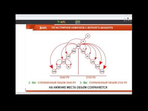 Видео: Как правильно работать в компании APL.