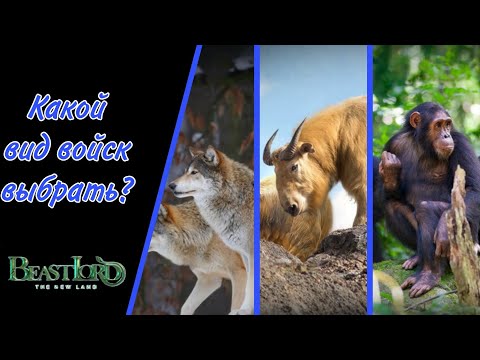 Видео: Beast Lord ~ Гайд для новичков ~ Вид войск который подходит именно тебе!