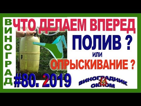 Видео: 🍇 Что делаем ВПЕРЕД? Полив или химическая обработка винограда? Капельный полив виноградника.