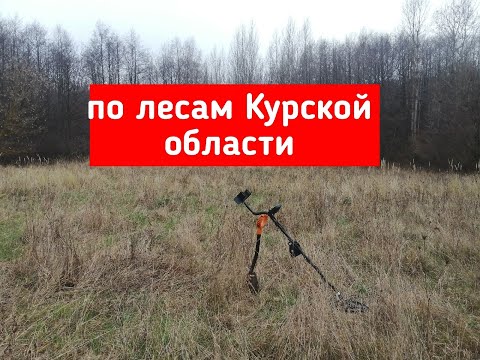Видео: лесной коп | лесные находки с ТХ850