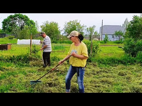 Видео: Очередной день в деревне на хозяйстве.