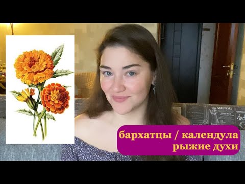 Видео: бархатцы в парфюмерии