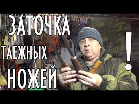 Видео: Заточка таежных ножей, 4 практичных способа #домавместе