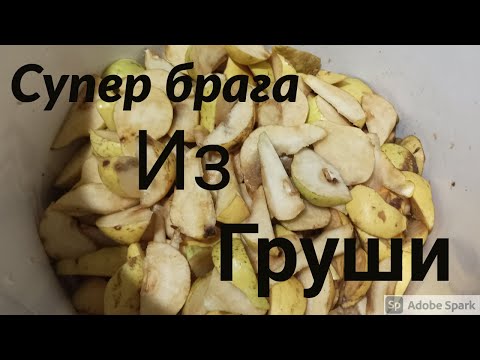 Видео: Фруктовая брага, брага из груш