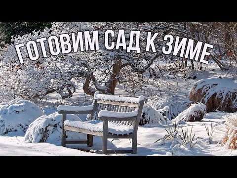 Видео: 7 минут — и Ваш САД Готов к Самой Лютой ЗИМЕ