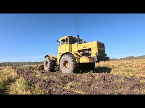 Видео: Осенняя вспашка К-701, ДТ-75, МТЗ-82.