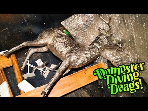 Видео: Карен, нырявшая в мусорном баке, снова вызвала полицию!!!