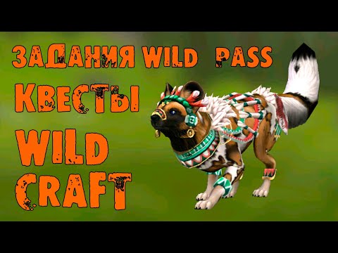 Видео: Задания 15 сезона, квесты на волка и лису в WildCraft