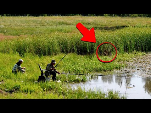 Видео: Когда Мужики Рыбачили, из Зарослей к Ним Вышли Они