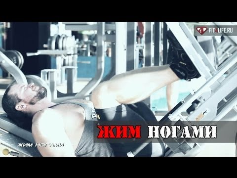 Видео: Это ЖИМ НОГАМИ, детка!