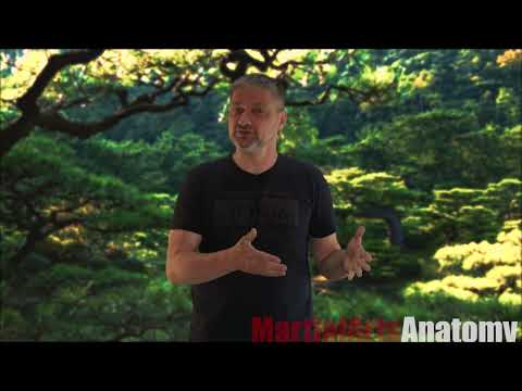 Видео: То самое Айки vs Jiujitsu