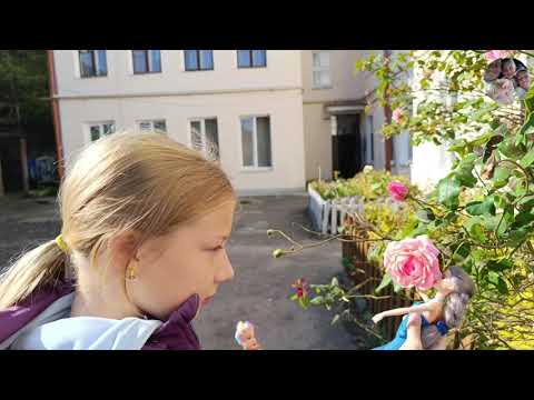 Видео: Бабье лето в Бресте 🫡☀️🎶