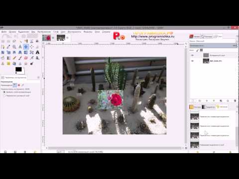 Видео: Плавающее выделение в GIMP