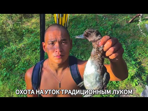 Видео: Охота на уток традиционным луком