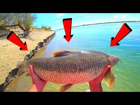 Видео: СМОТРИТЕ КОГО Я ПОЙМАЛ!!! ✅💪