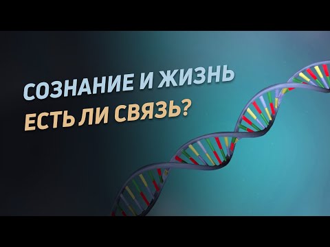 Видео: Сознание и жизнь. Есть ли сознание у животных?