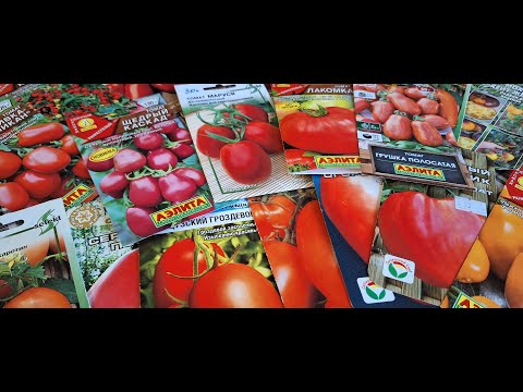 Видео: Низкорослые томаты. Проверенные сорта