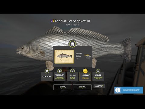 Видео: НОВЫЕ РАЗДАЧИ ТРОФОВ НА АХТУБЕ, МОРЕ, ФАРМ НА ЯНТАРНОМ МЕДНОМ ОЗЕРЕ В РУССКОЙ РЫБАЛКЕ 4 РР4