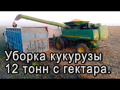 Видео: Уборка кукурузы! Урожайность 120ц. JOHN DEERE 9770 STS.