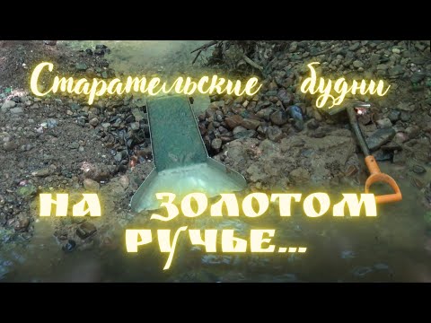 Видео: Старательские Будни,на Золотом Ручье! Разведка,работа со шлюзом!