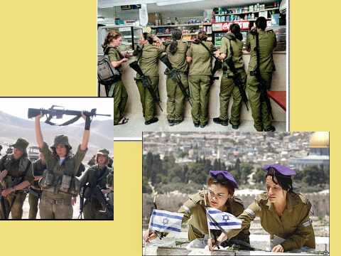 Видео: хамсин Тимур Шаов