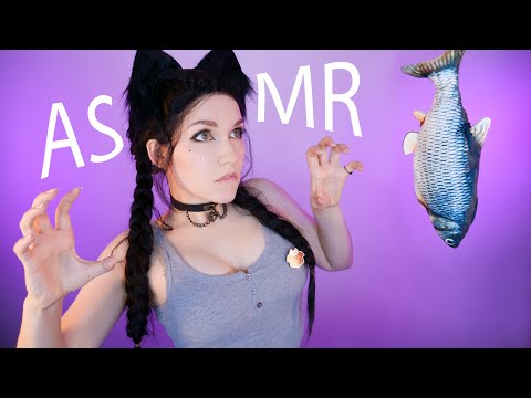 Видео: АСМР 🐾💖 КОШАЧЬИ ТРИГГЕРЫ 🐱💘 ASMR CAT TRIGGERS