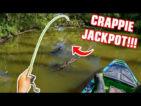 Видео: Я НАШЕЛ ДЖЕКПОТ НА РЕК-КРАППИ‼️РЫБАЛКА НА РЕК-КРАППИ 2025‼️