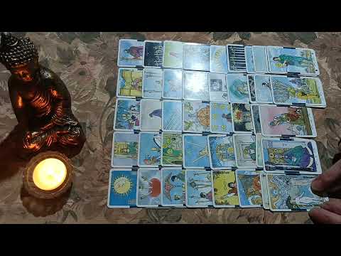 Видео: Той говори...🤨