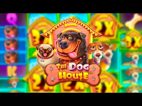 Видео: ЭТО МОЙ САМЫЙ РЕКОРДНЫЙ ЗАНОС В DOG HOUSE MEGAWAYS (ЖЕСТЬ)🔥