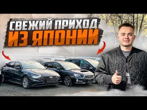 Видео: ЦЕНЫ НА АВТО В НОЯБРЕ 2024🚘