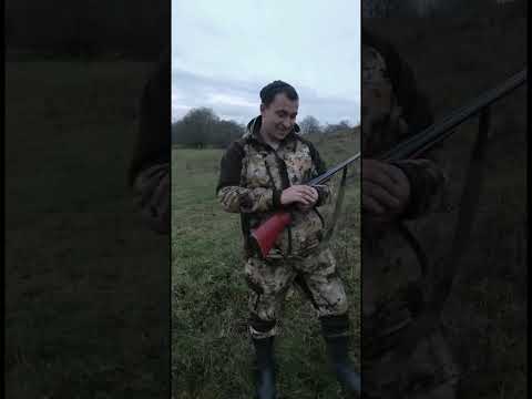 Видео: 15 ноября 2023 г.