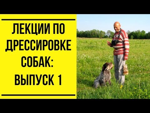 Видео: Лекции по дрессировке собак. Выпуск 1
