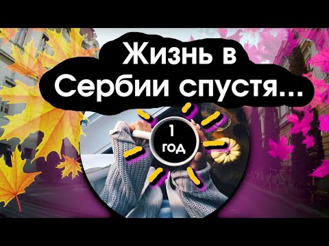 Видео: Год жизни в Сербии. Как оно? #влогпросербию
