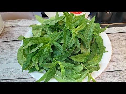 Видео: Как сохранить МЯТУ на зиму? Ароматный Мятный сахар! Это вкусно, натурально и ароматно!